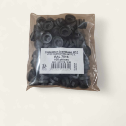 CAPUCHON POUR VIS DE TOLES EMBASE H10